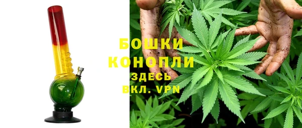 шишки Куйбышев