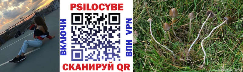 Галлюциногенные грибы GOLDEN TEACHER  Купить  Салехард 